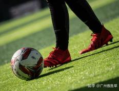 IM体育官方网-绿茵主场逼平对手，保持平稳态势的简单介绍