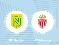 IM体育数据分析平台-南特主场