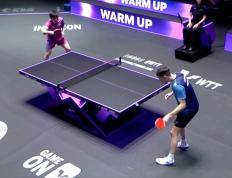 IM体育动画直播通道-关于奥地利乒乓球队横扫波兰乒乓球队，张本智和送出助攻的信息