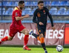 IM体育-德国-击败黑山，积分榜上升至第二名的简单介绍