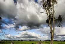 IM体育官网-关于cba联赛宣布停赛无限期暂停赛事出现多例确诊病例需防控的信息