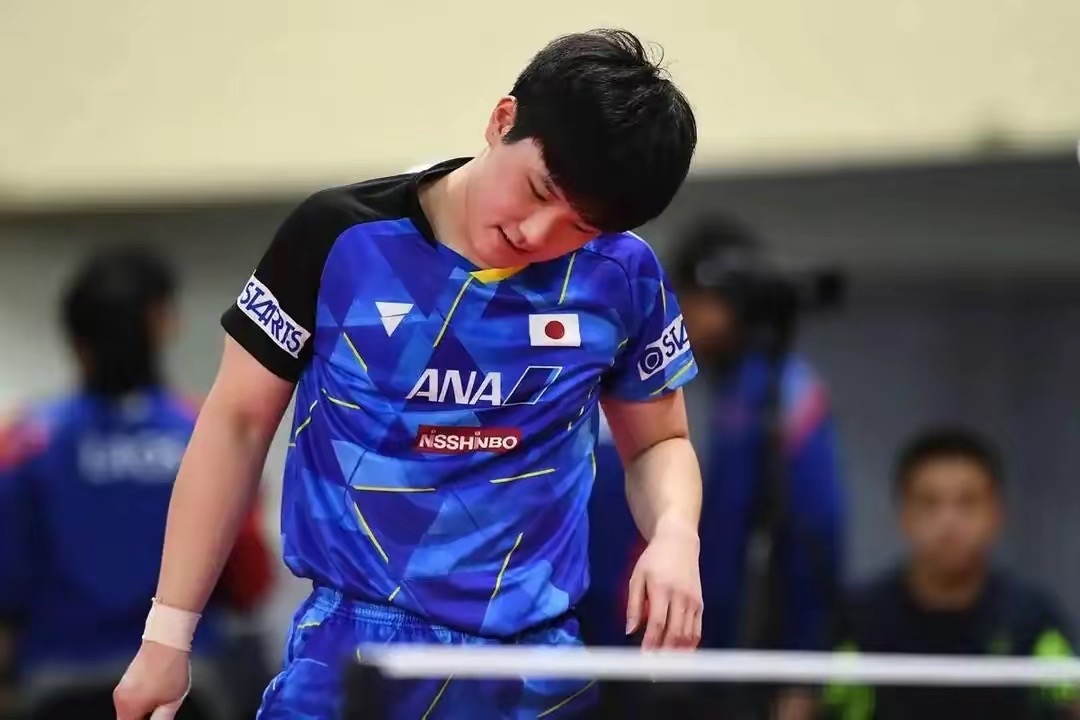 IM体育动画直播通道-关于奥地利乒乓球队横扫波兰乒乓球队,张本智和送出助攻的信息