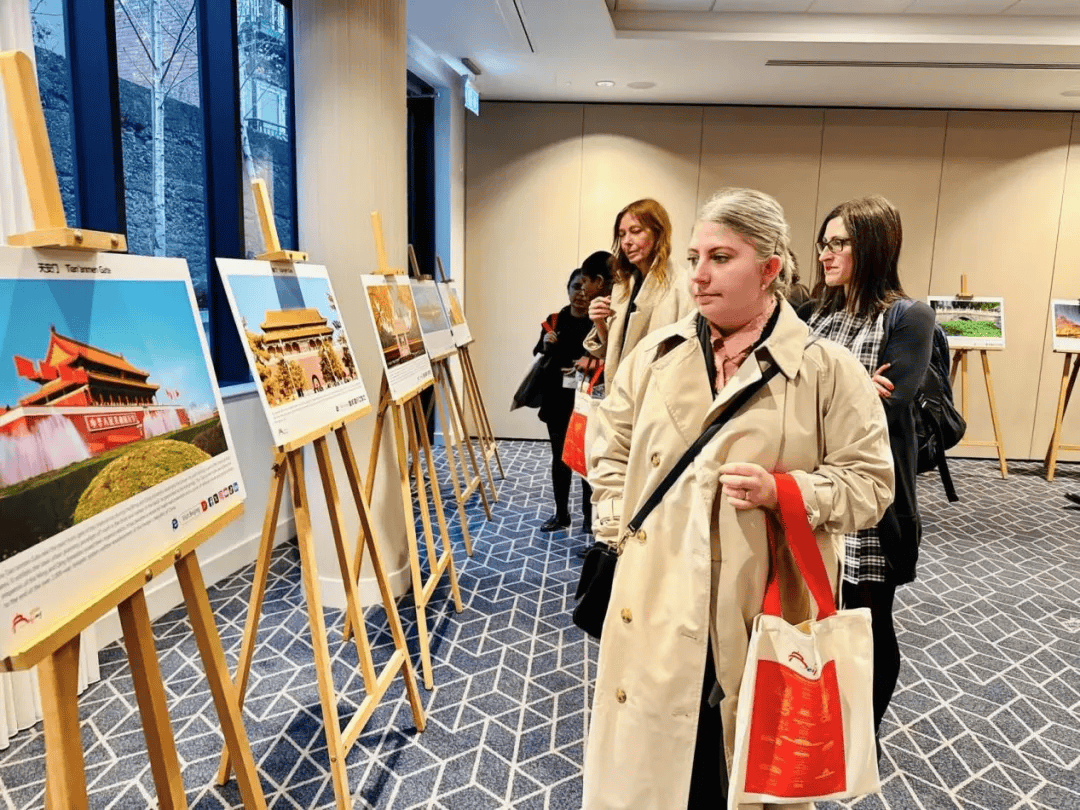 IM体育官网-爱尔兰代表团在比赛中展现出色技艺的简单介绍