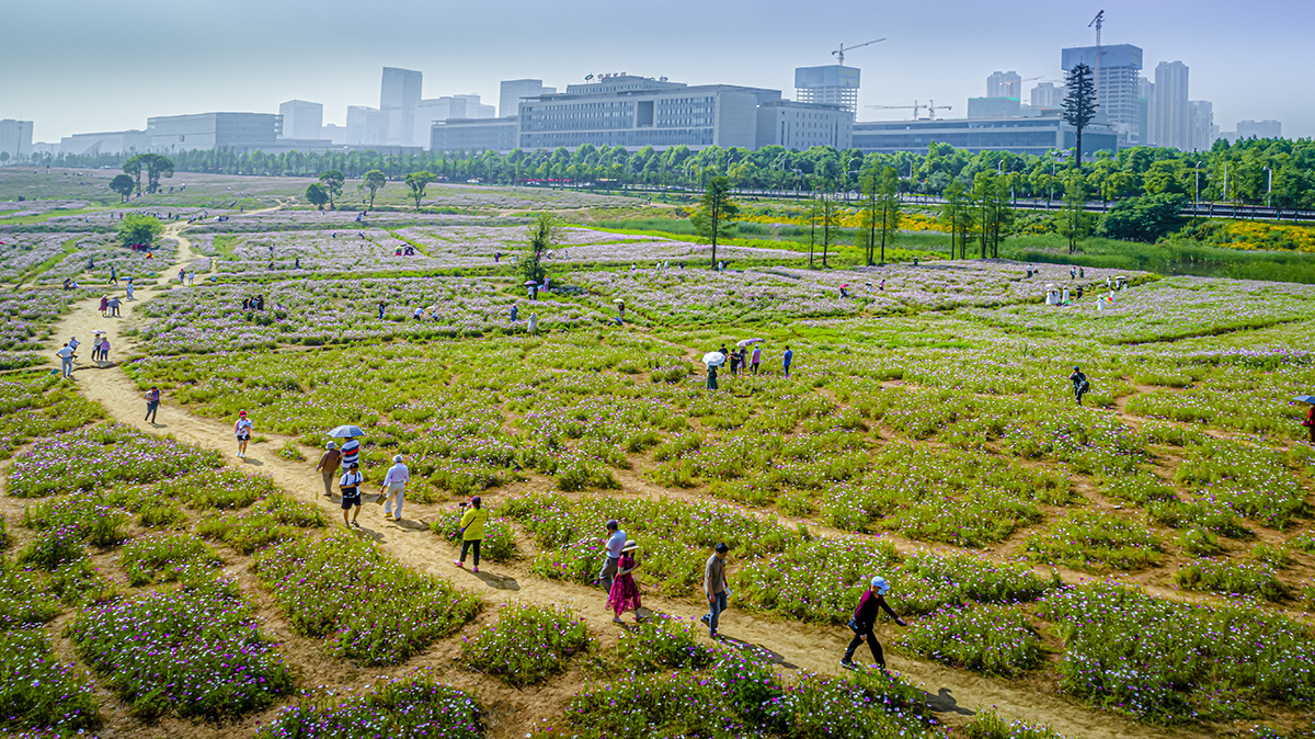 IM体育官方网-关于武汉光谷试图扭转颓势，冲刺双线作战的信息