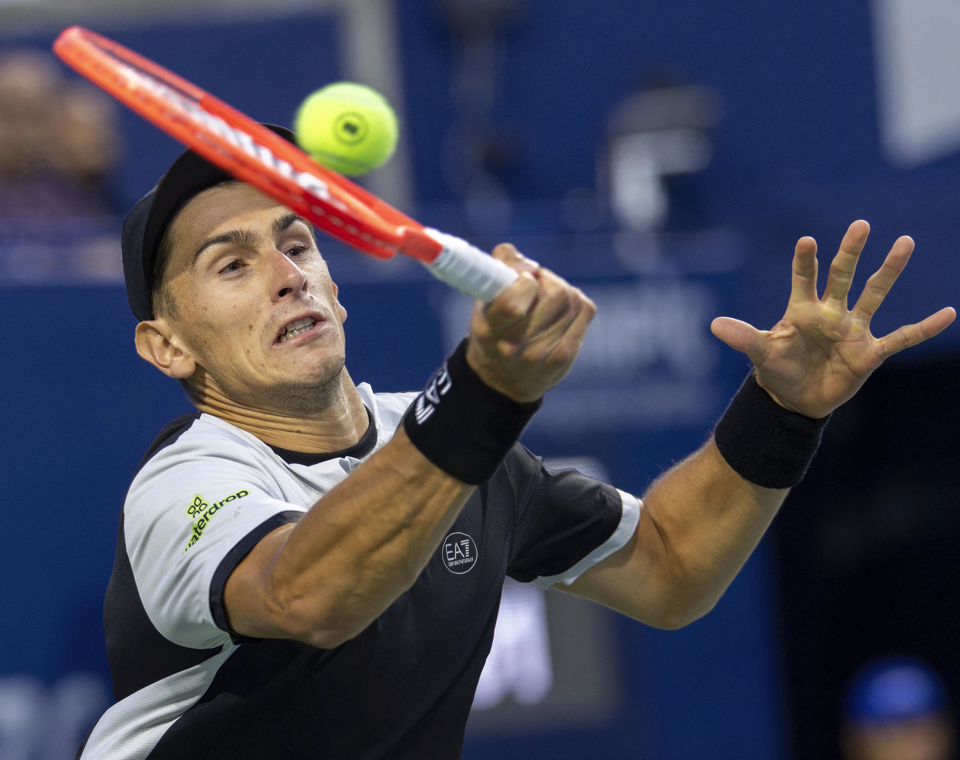 IM体育官方网站-包含日本网球队险胜世界网球队，兹维列夫统治全场的词条