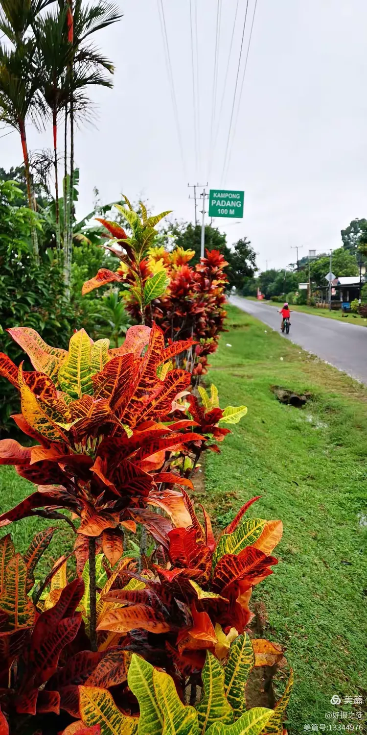 IM体育-马来西亚队翻盘印尼队，辛杜高光表现的简单介绍