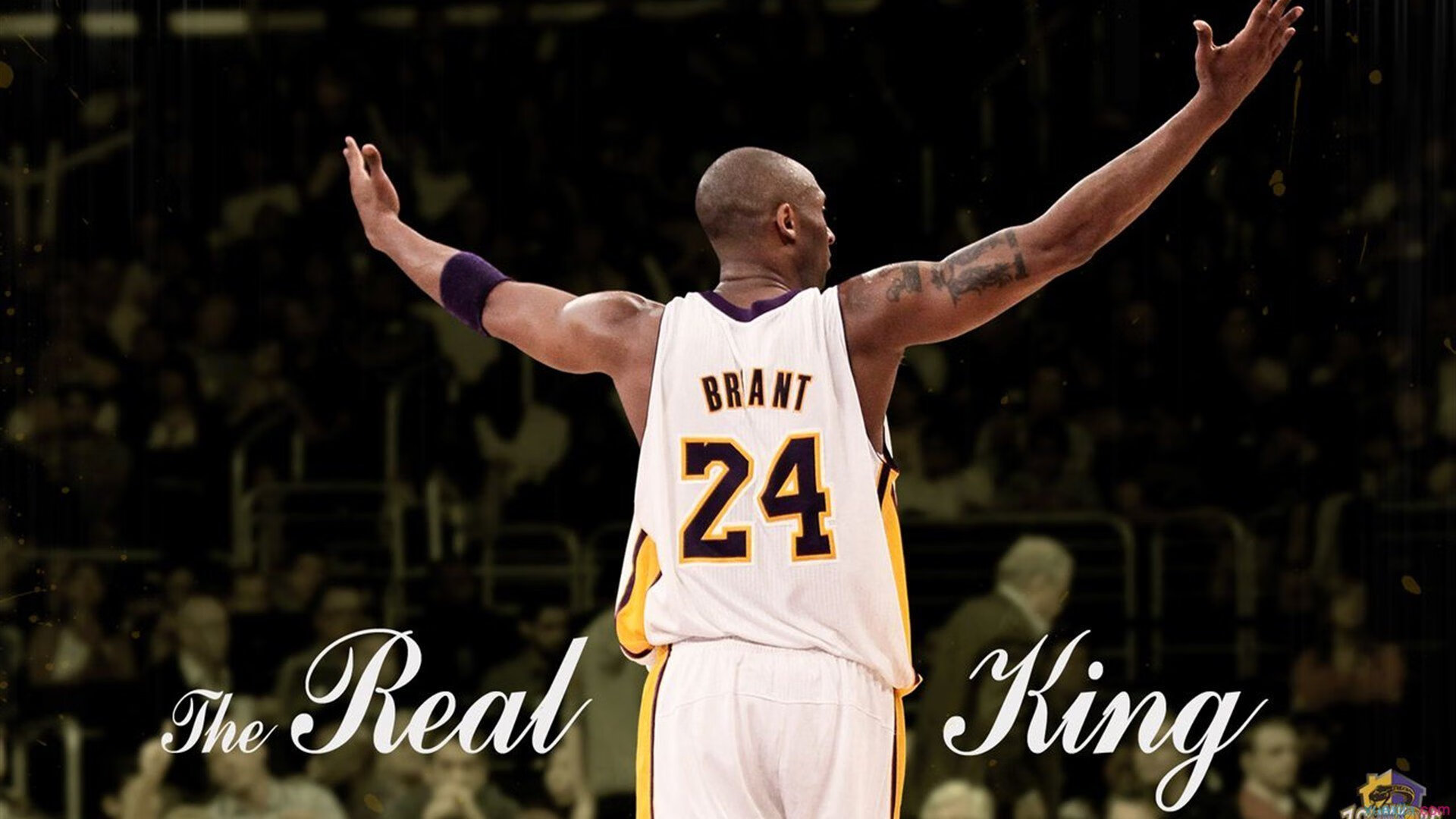 IM体育注册链接-文班亚马，总决赛之夜的关键节点先生